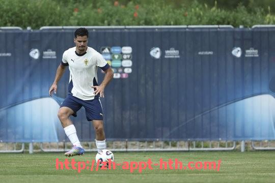 华体会hth官方网站下载-英超球员戈麦斯的国籍及职业生涯介绍